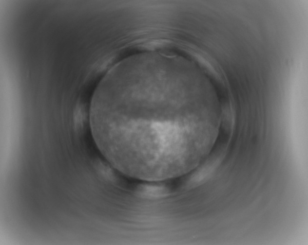 X0000113310284200909281131