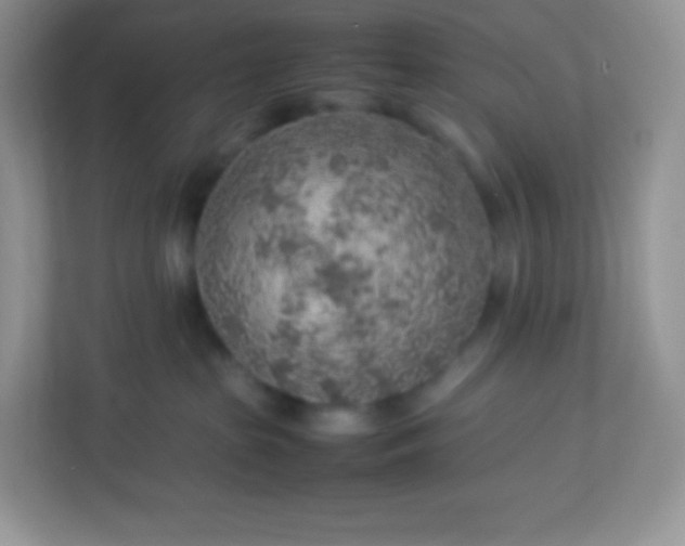 X0000113310285200909281131