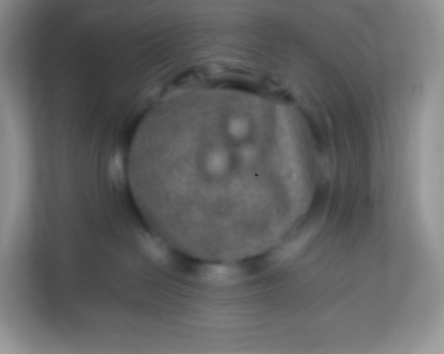 X0000113310286200909281131