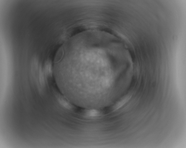 X0000113310287200909281131