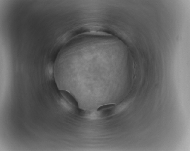 X0000113310288200909281131