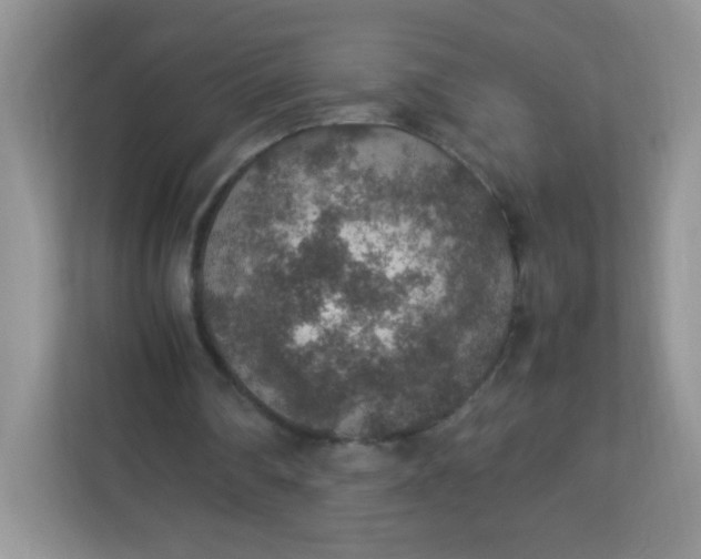 X0000113310290200909281130