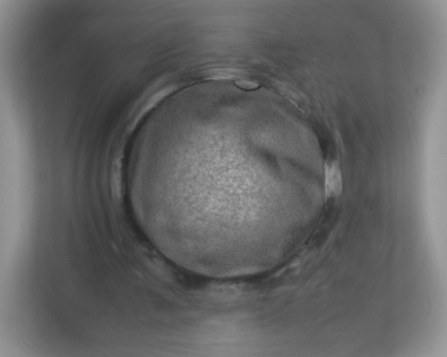 X0000113310291200909281130