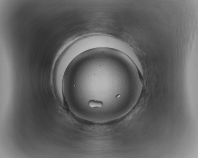 X0000113310292200909281130