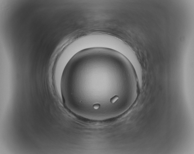 X0000113310293200909281130