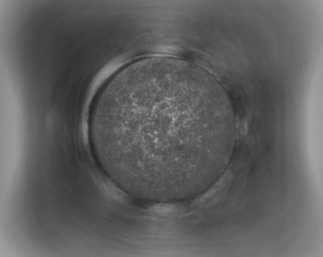 X0000113310294200909281130