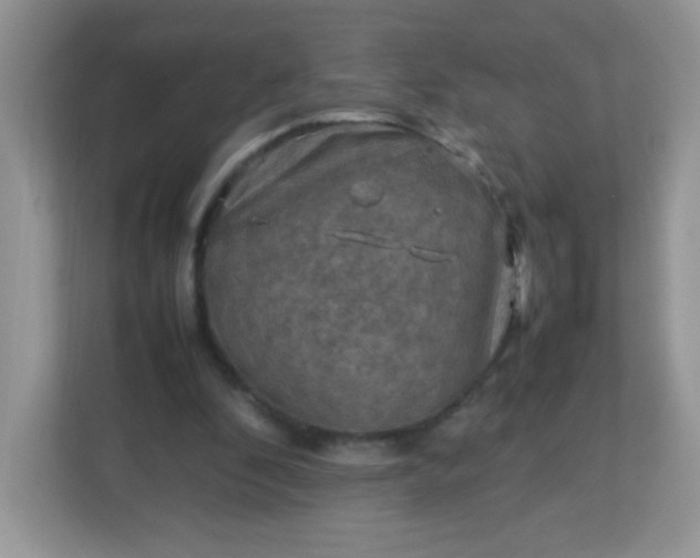 X0000113310296200909281130