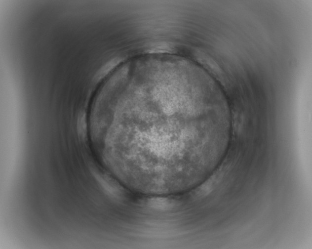 X0000113310298200909281130