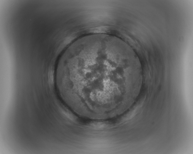 X0000113310299200909281130