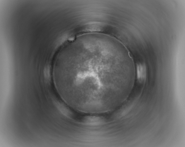 X0000113310300200909281130