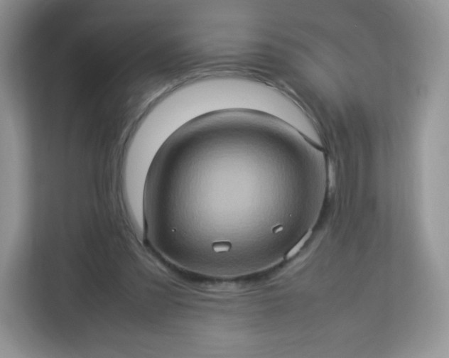 X0000113310301200909281130