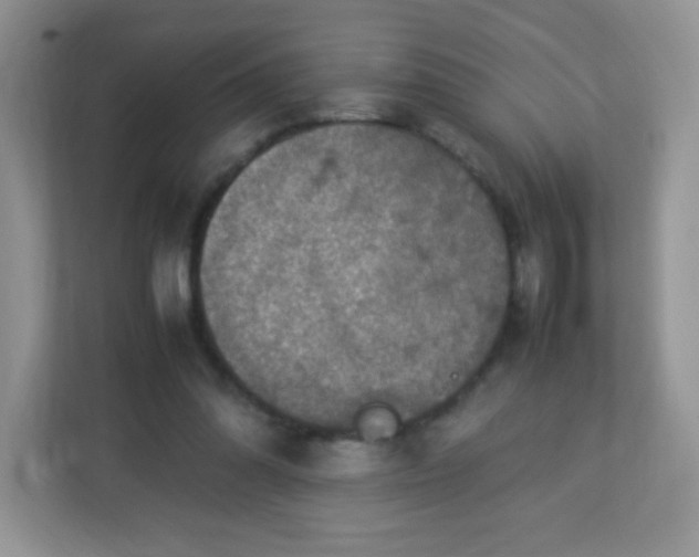 X0000113310302200909281130