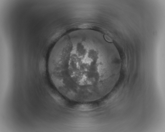 X0000113310303200909281130