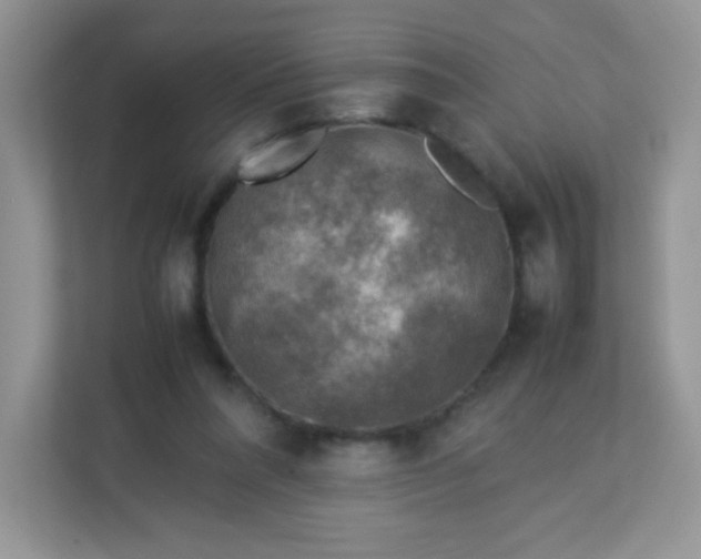 X0000113310304200909281130