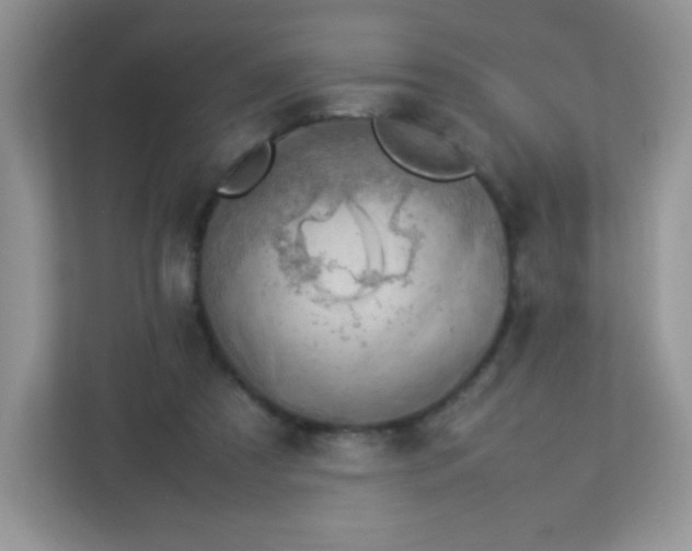 X0000113310305200909281130