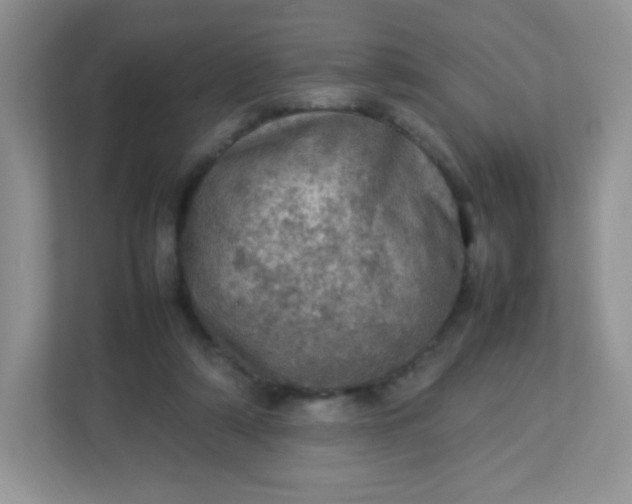 X0000113310306200909281130