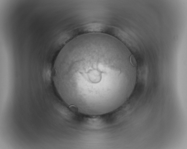 X0000113310309200909281130