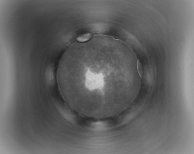 X0000113310312200909281130