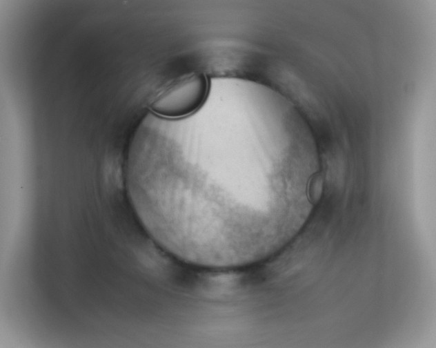 X0000113310313200909281130