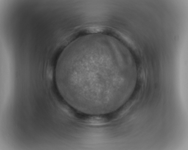 X0000113310315200909281130