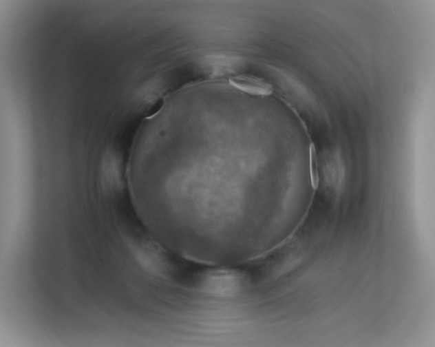 X0000113310316200909281130