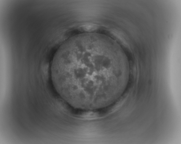 X0000113310319200909281130