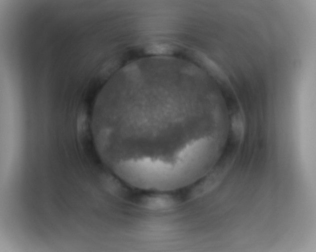 X0000113310322200909281130