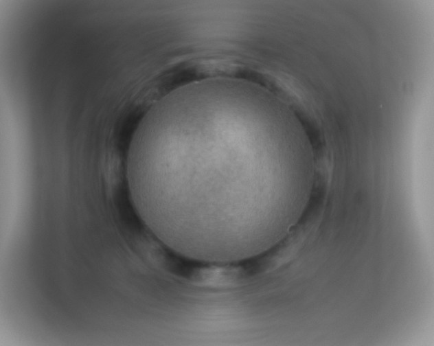 X0000113310323200909281129