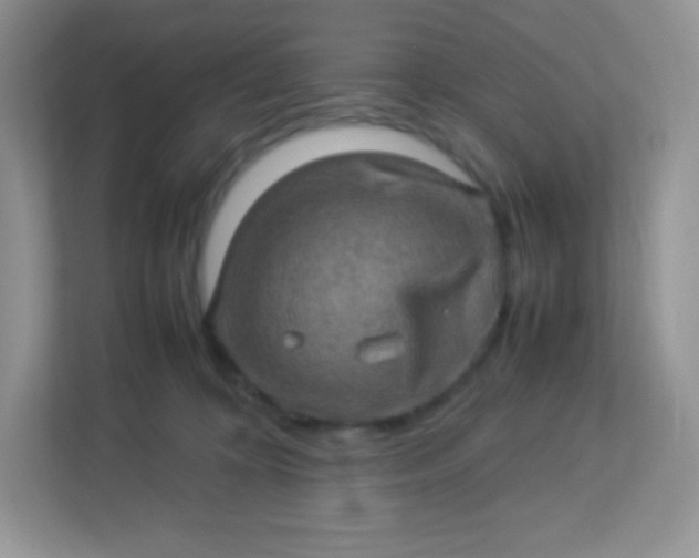 X0000113310324200909281129