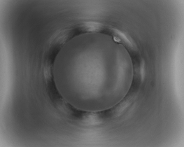 X0000113310325200909281129