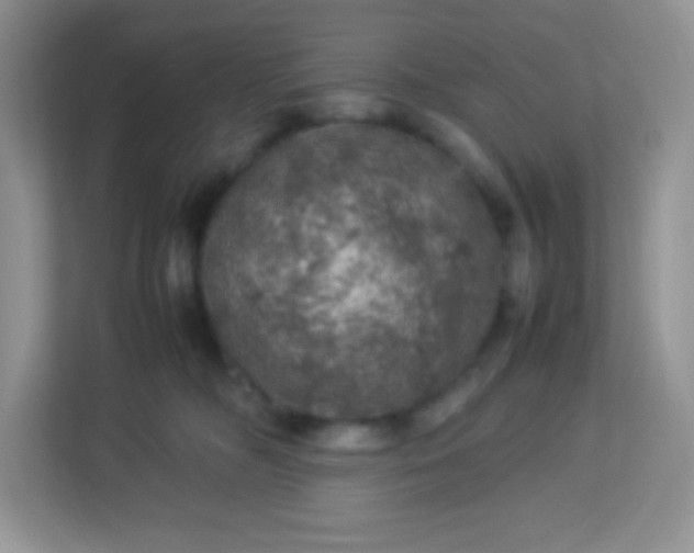 X0000113310326200909281129