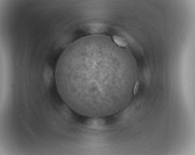 X0000113310327200909281129