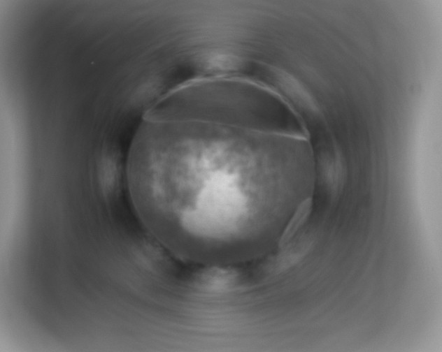 X0000113310328200909281129