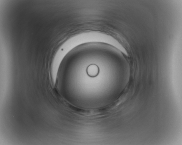 X0000113310329200909281129