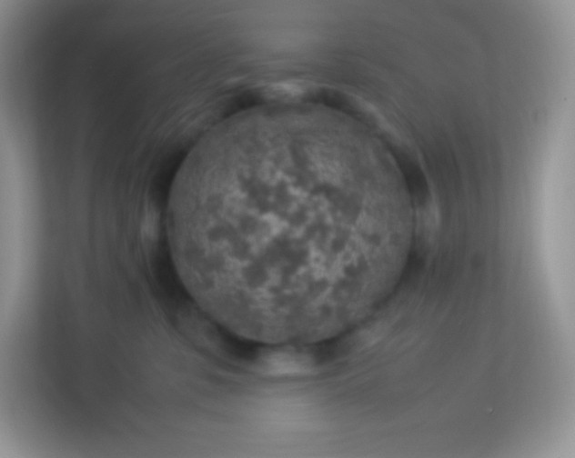 X0000113310331200909281129