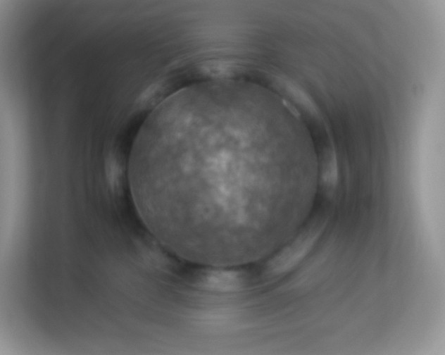 X0000113310332200909281129