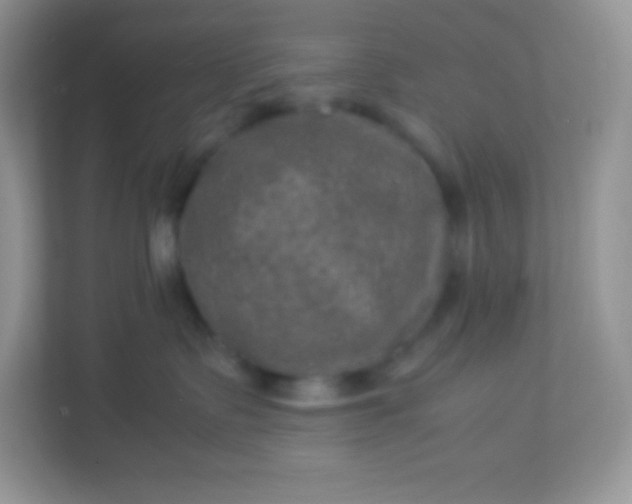 X0000113310335200909281129