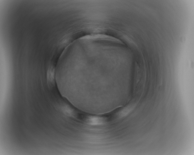 X0000113310336200909281129