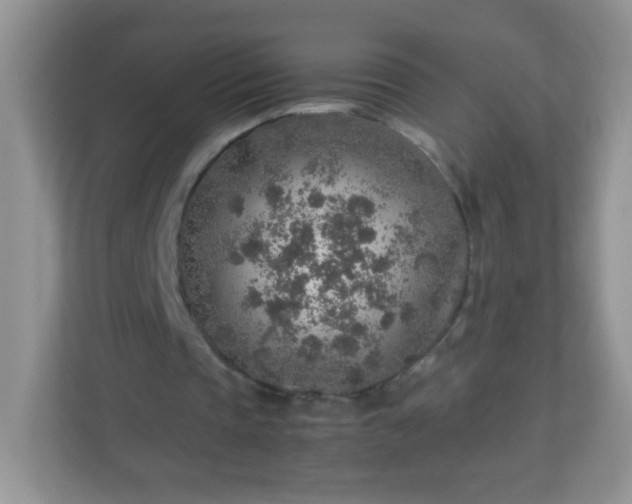 X0000113310337200909281129