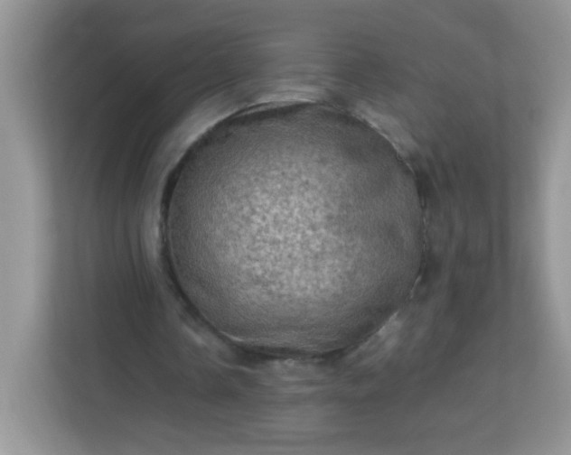 X0000113310338200909281129