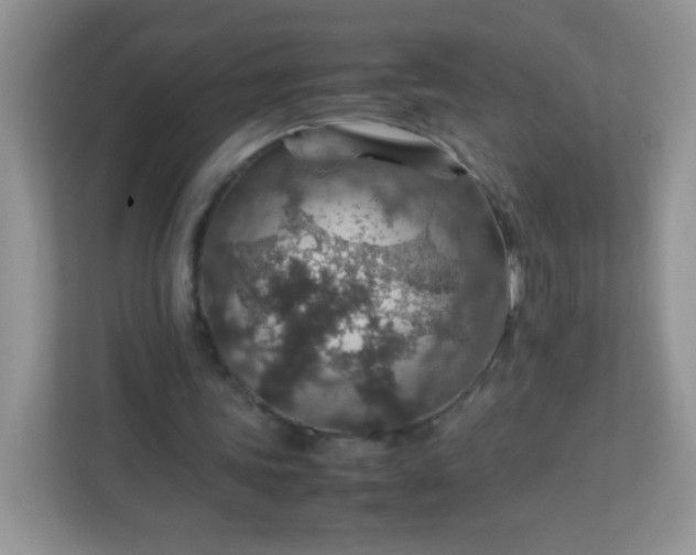 X0000113310339200909281129