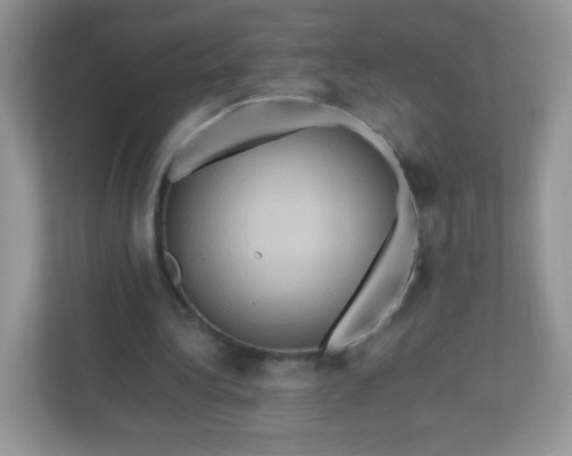 X0000113310340200909281129