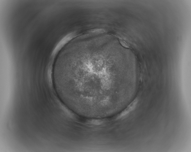 X0000113310341200909281129