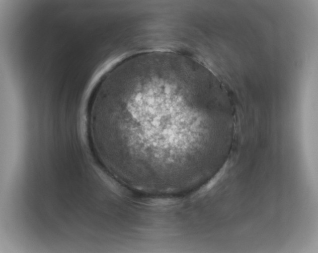 X0000113310342200909281129