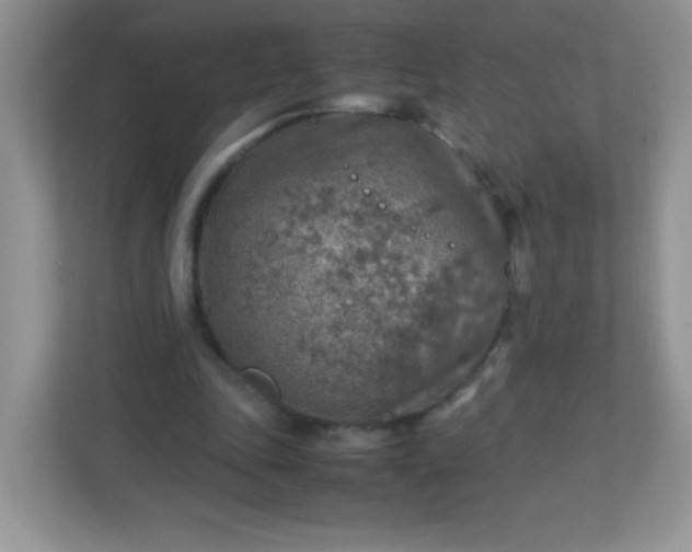 X0000113310343200909281129