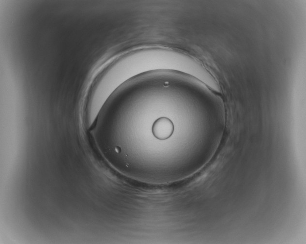 X0000113310344200909281129