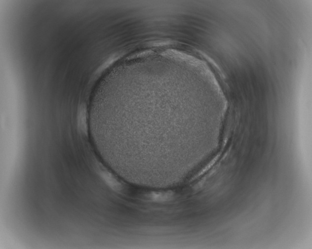 X0000113310345200909281129