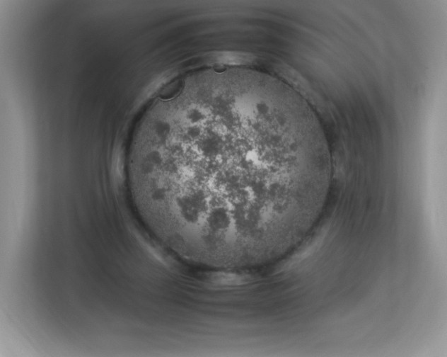 X0000113310347200909281129