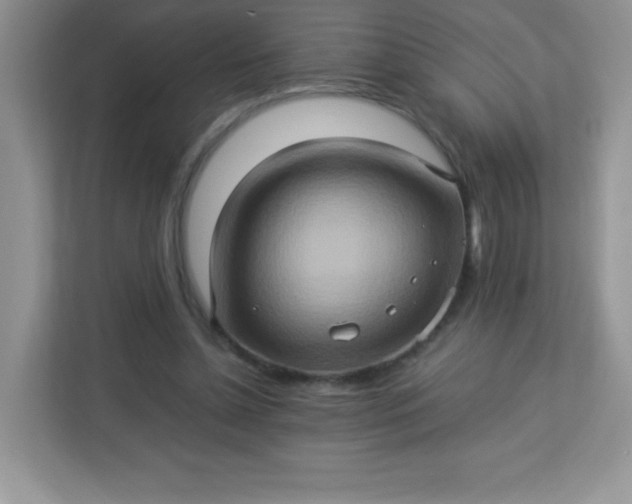 X0000113310348200909281129