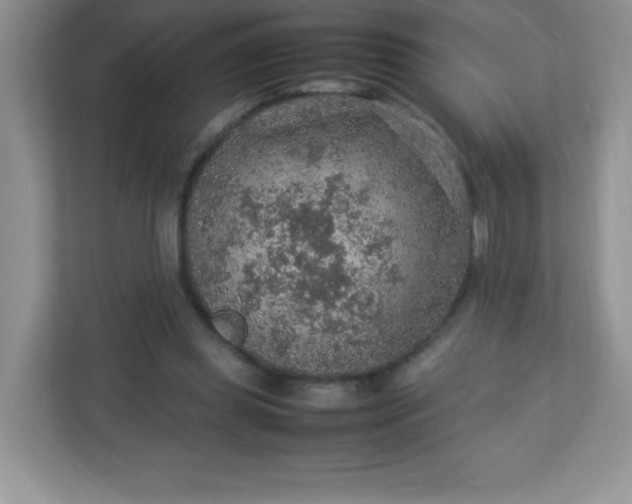 X0000113310349200909281129